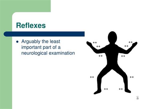 PPT - The ER Neurological Exam PowerPoint Presentation - ID:1487664