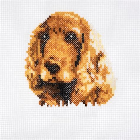 Cocker Spaniel - Stitch Your Own Counted Cross Stitch Kit