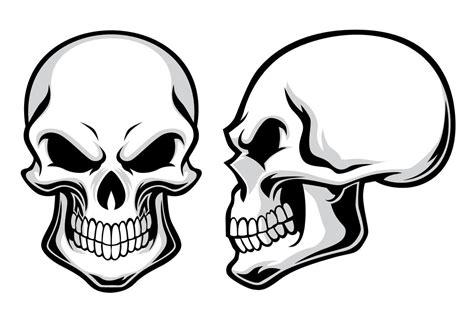 Cartoon Skull Collection In Set 18914408 Vector Art At Vecteezy