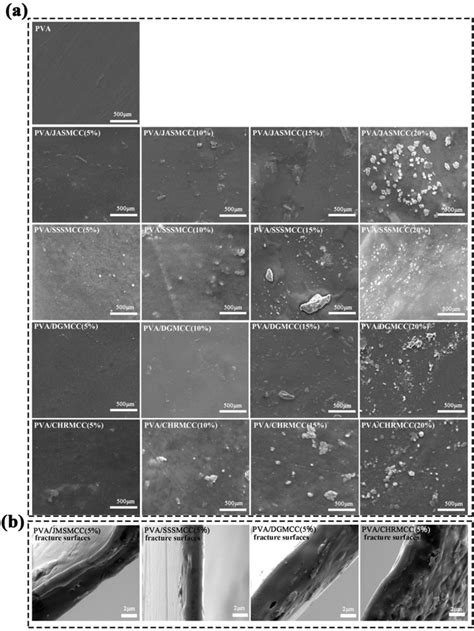 Sem Images To Show The Morphology A And The Fracture Surfaces B Of