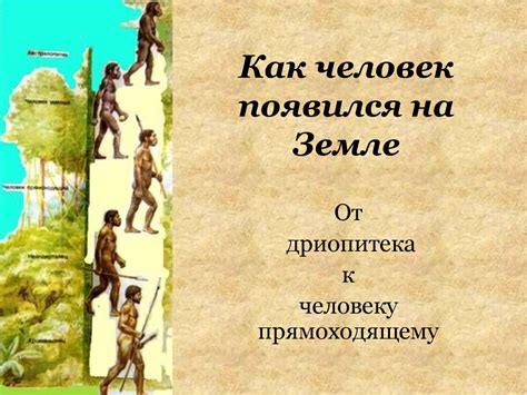 Происхождение человека - презентация онлайн