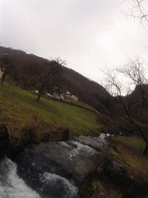 Le frai suit son cours…