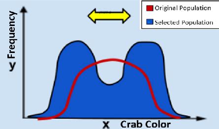 Describing How Selective Pressures on Populations Change an Environment ...