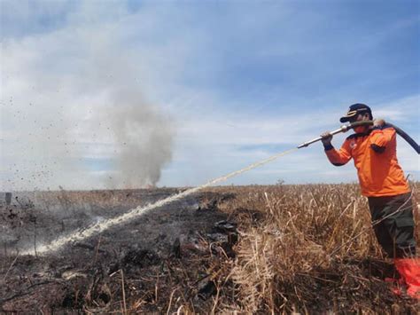 Goriau Polresta Pekanbaru Bersinergi Dengan Pemko Tni Dan Instansi