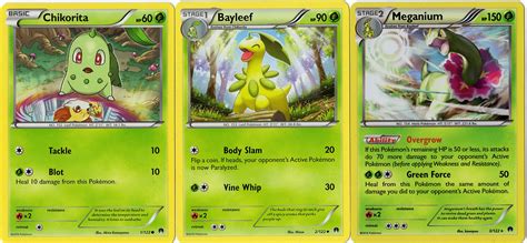 Chikorita Evolution