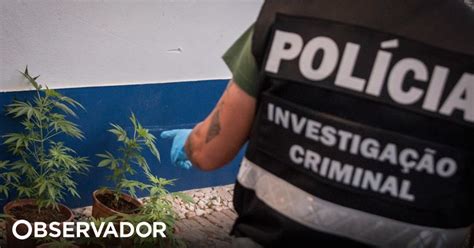 GNR detém dois homens e apreende mais de 500 doses de droga em Ponte de