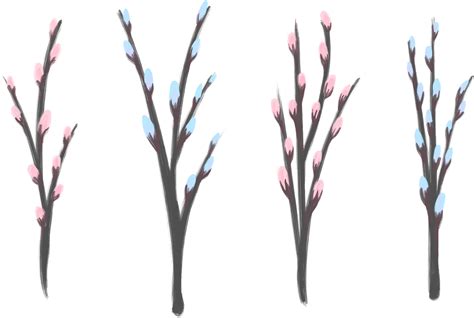 Set With Pussy Willow Branches For Greeting Cards Posters Banners Packaging Wedding Cards
