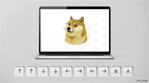 DogeDesigner on Twitter: "Twitter's new Doge logo spins! 🤣 @elonmusk ...