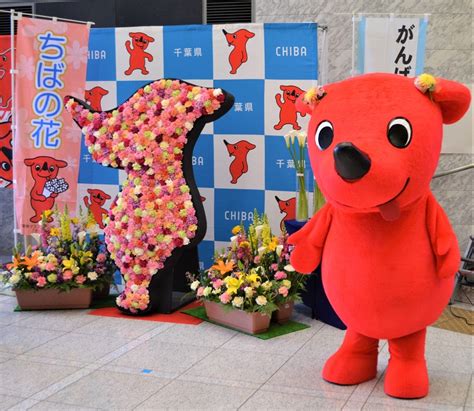 千葉の花、飾ってみては？ 行事自粛で需要減、生産農家がpr 【新型コロナ】 千葉日報オンライン