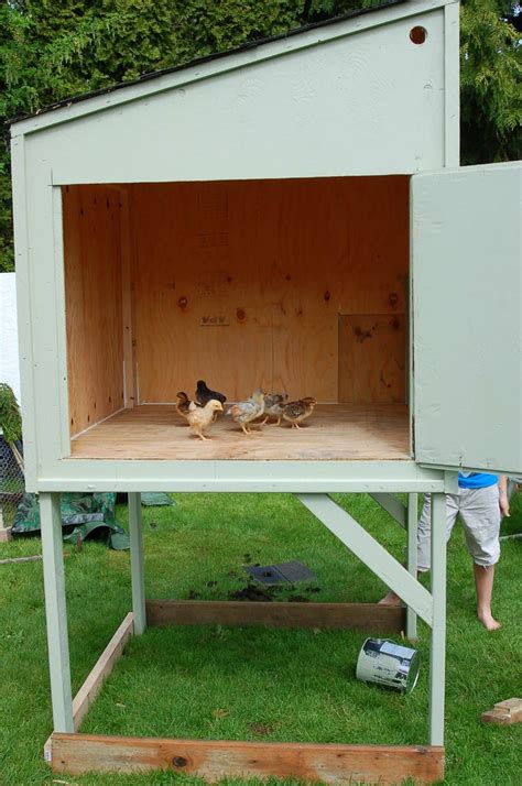 How To Build A Cheap Chicken Coop