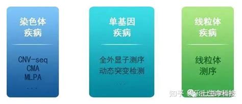 儿童遗传病基因检测临床应用及意义 知乎