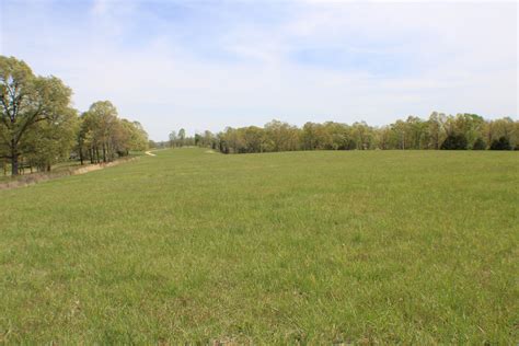 Farm Land For Sale In Southern Minnesota At Kevinmwells Blog