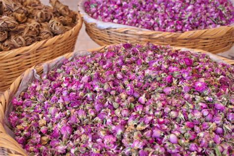 450 Distillation Of Rose Oil Stock Photos Pictures And Royalty Free