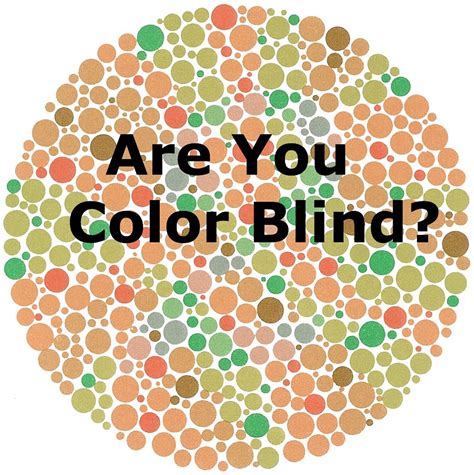 What Color Blind Looks Like