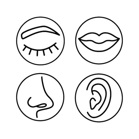 set  icons  eyes mouth nose  ears icons  human organs