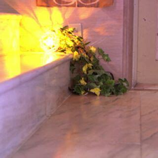 Karen Kaede Lemon Tanaka Kaedekaren Nude OnlyFans NudoStar TV