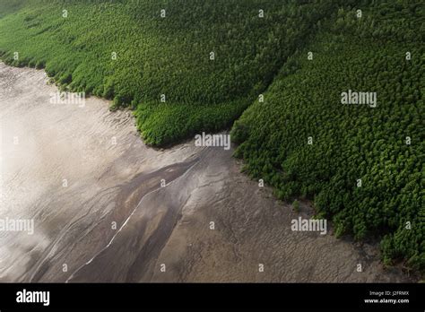 Shell Beach, North Guyana Stock Photo - Alamy