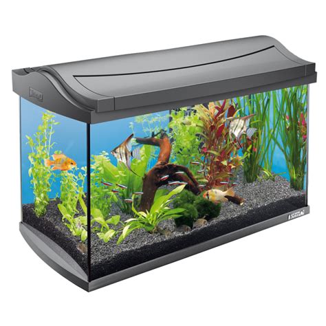 Aquarium und Standort - Tetra Aquaristik Blog