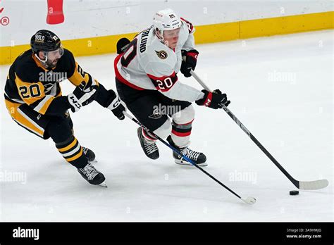 ottawa senators fabian zetterlund  reaches   puck