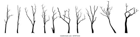 Set Black Branch Tree Naked Trees Stock Vector Royalty Free Shutterstock