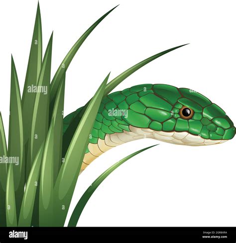 Grass Snake Art Stock Vector Images Alamy