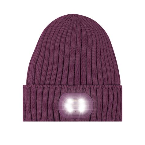 New Monochromatic Adult Beanie Purple Roq Innovation