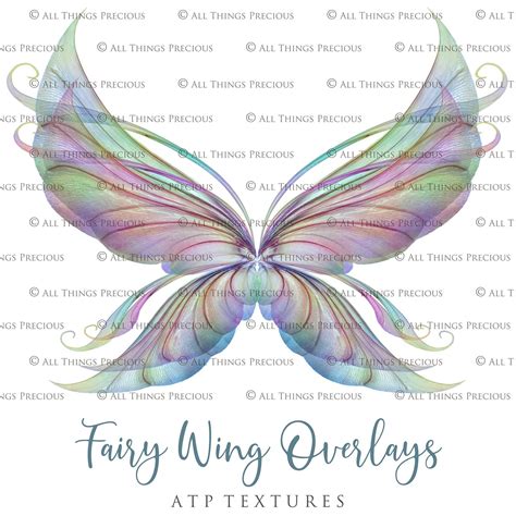 25 Png MULTICOLOURED FAIRY WING Overlays Set 4 Insect Wings Overlays