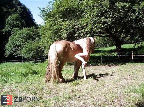 Hengst Und Stute ZB Porn