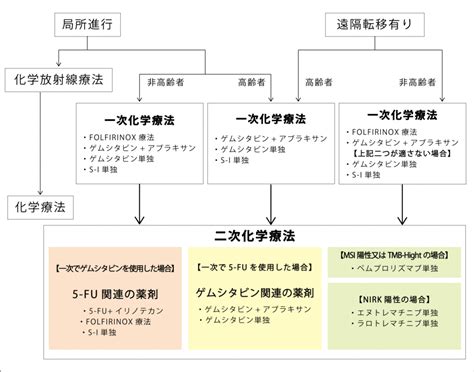 膵臓がんの治療と副作用 - がん治療ならNPO法人日本統合医療推奨協会