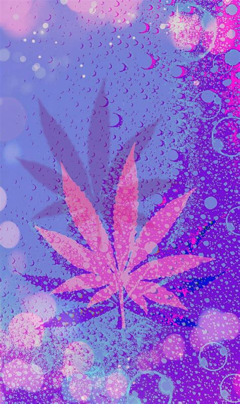 Pink Pot Leaf High Leat Pink Pot Hd Phone Wallpaper Peakpx