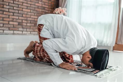 Perbedaan Sujud Syukur Sujud Tilawah Dan Sujud Sahwi Akurat