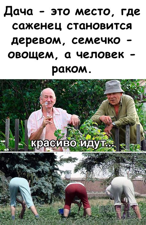 Sex Of Russian Women In The Vegetable Garden 52 Photos Motherless Porn Pics