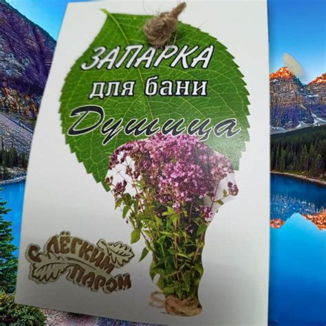 Запарка для бани .Душица(Матрешка) 6штук в коробке купить c доставкой ...