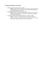 Understanding Evolutionary Mechanisms: Natural Selection, | Course Hero