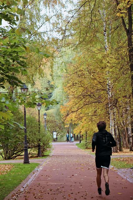 Park Autumn The Sky - Free photo on Pixabay - Pixabay