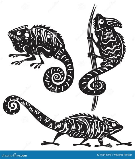 Black And White Chameleon Stock Vector Image Of Nature 15344709