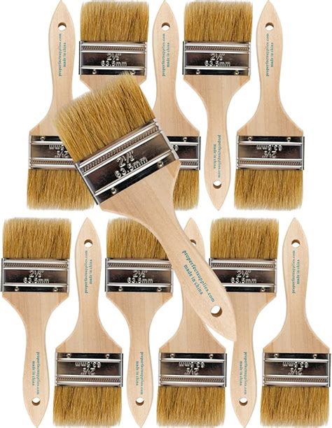 Amazon Pro Grade Chip Paint Brushes 12 Pack 2 5 Chip Brushes