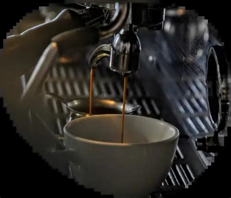 Home Palinoia Coffee