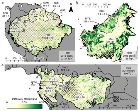 Novas Pesquisas Mostram Que A Recupera O De Florestas Tropicais