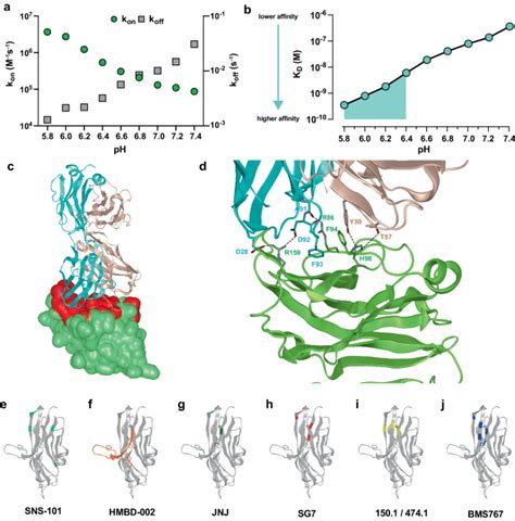 Vista Checkpoint Inhibition By Ph Selective Antibody Sns 101 With