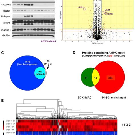 Efficacy Of Proteomic Screen Compared To Traditional Phospho Proteomic