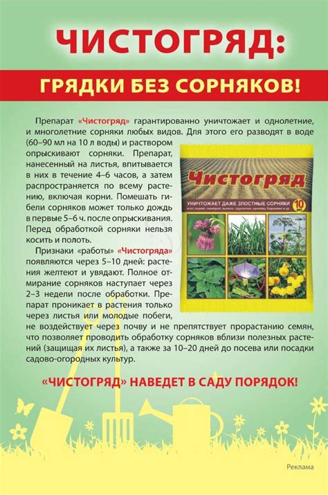 Дачный спец №8 август 2022 журнал читать онлайн бесплатно