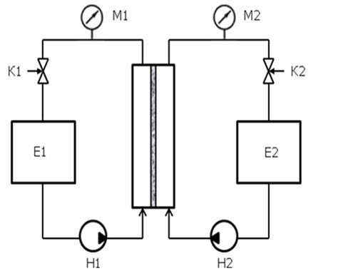 Schematically Shows A Track Etched Membrane With An Asy Structure For