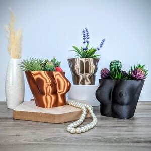 Boob Planter Nude Plant Pot Woman Breast Planters Coquette Quirky Home Decor Flower