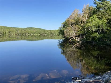 Unveiling The Mysterious World Of Lake Dunton Funeral A Journey Of Selfdiscovery And Transformation