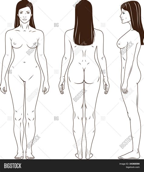 Naked Standing Woman Vector Photo Free Trial Bigstock