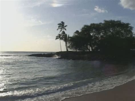 I Fucked Faith Leone Bareback On My Hawaii Trip Wmv Amateur Sex Videos Who Is Next Clips Sale