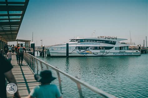 Port Phillip Ferries - a fun way to ride!