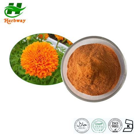 Herbway Plant Extract Kosher Halal Certified Marigold Flower Extract Powder Lutein Zeaxanthin