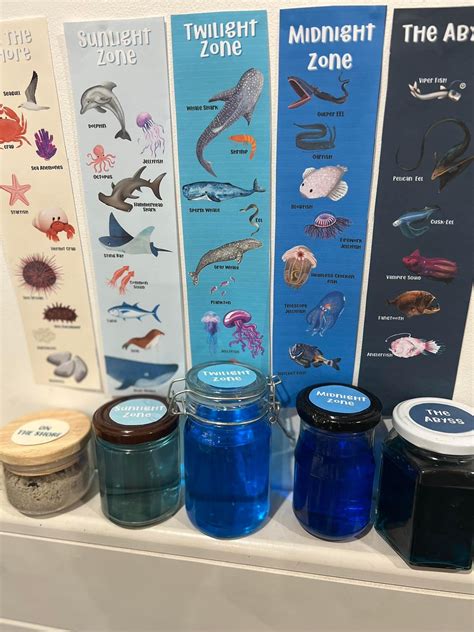 Ocean Depths – Nutmegz Education